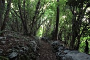 24 Sentiero tra muri a secco 
